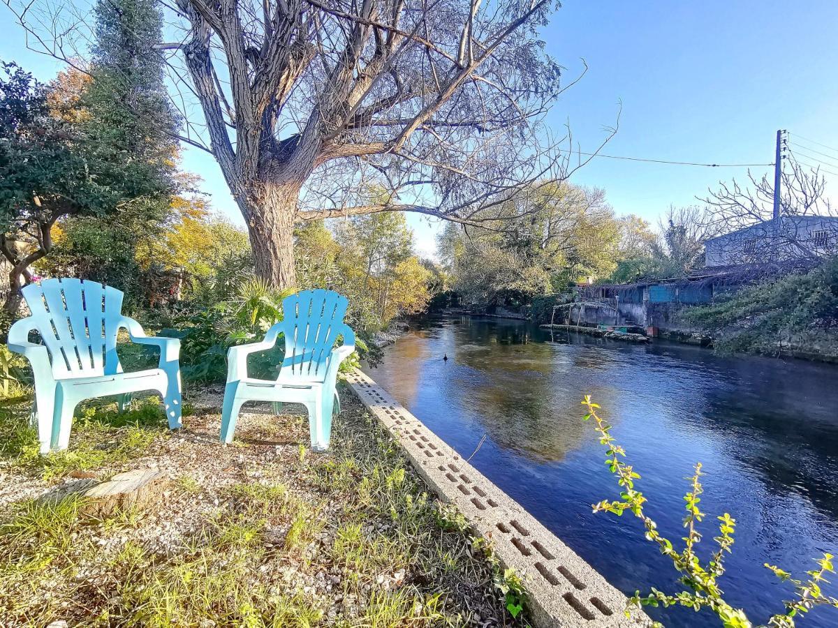 Gite L'Odonate, Partage Des Eaux LʼIsle-sur-la-Sorgue 외부 사진
